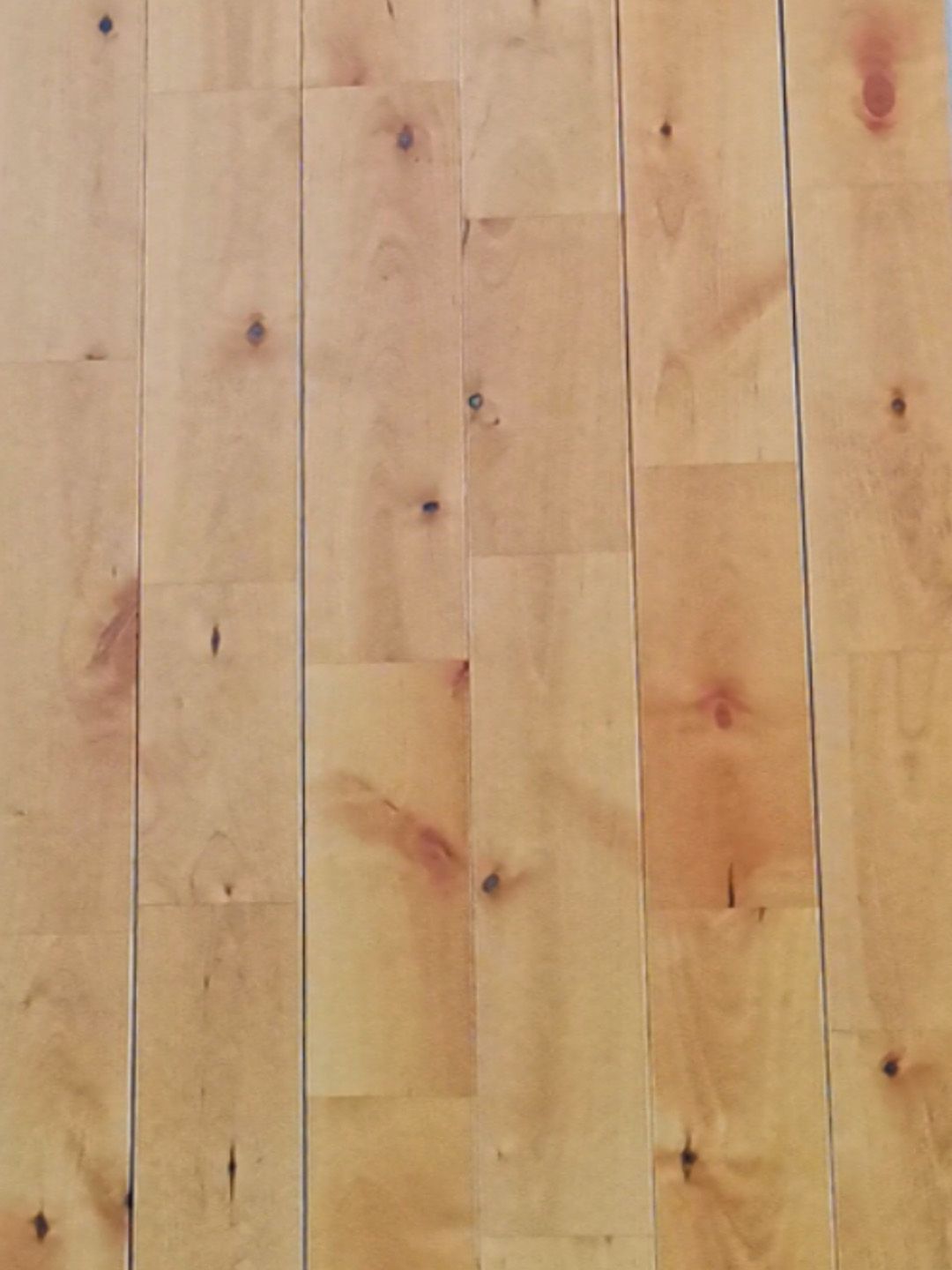 运动木地板|枫桦木