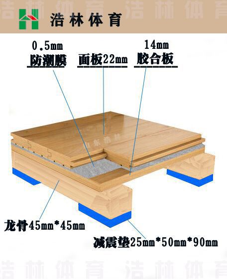 乒乓球馆木地板|单层龙骨(图1)